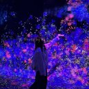 랩Flowers - 안산시 단원구 원본로3길 24 | 팀랩 보더리스 예약 방법｜공식 홈페이지 vs 클룩 가격 비교 후기