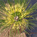 남송농장 이미지