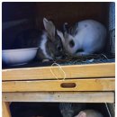 비치힐(Beach - Hill) | 영종도에서 세번째 머문 비치힐뷰하우스, 더욱 편안해진 그곳에서의 힐링 여행