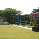 무지개가 피어나는 이미지