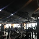 허그독 | [장유 헬스장] 운동 전 커피, 독인가 약인가?