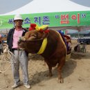 범이네 이미지
