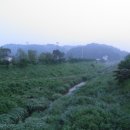 앙덕리 지석묘 티스토리