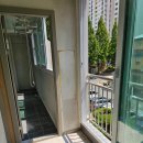 청솔바이오 이미지