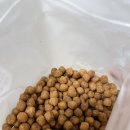 슈슈퍼피 이미지