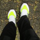 연세남부내과의원 이미지