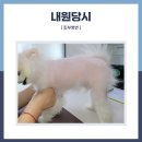 고척원동물의료센터 이미지