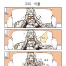 방주이불
