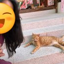 스테이 겹 | [내돈내산] 남양주 묘적사 차담형 템플스테이 내돈내산 후기