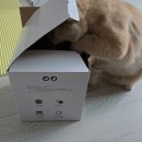 오&Pet | 가성비 고양이 자동급식기 싱글형 Auto pet feeder 고양이 집사 해외여행준비
