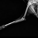 사송 동물 메디컬센터 이미지