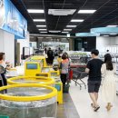 태안군, 전국 최초 농ㆍ수산물 통합 로컬푸드 직매장 개장 이미지