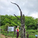 100대 명산 탐방, 백두대간 소백산 비로봉 산행.. 이미지