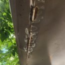 자전거보관소 이미지