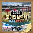 영주어린이집 | [2025 풍기인삼축제] 영주 풍기 가볼 만한 곳 가을 인삼축제 볼거리 체험 추천