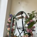 발레드무이 이미지