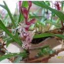 길상초등학교 이미지