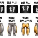 레드짐 이미지