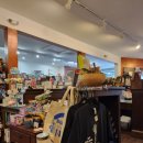 베벌리 도그 이미지