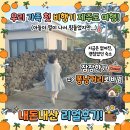 퐁낭거리 | 아들이 열이 나서 힘들었지만), 지금은 없어진 괜찮았던 숙소 잠잠한가에서 퐁낭거리로 바뀜 내돈내산후기