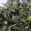 천반산길 이미지