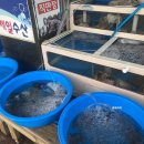 벌교제일수산 이미지