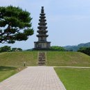 용띠 11월 정모 공지(버스 투어) 이미지