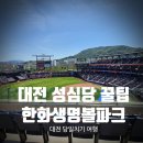 수리수리 닭갈비 | [대전 당일치기] LG vs 한화 직관 여행! 성심당 웨이팅 꿀팁과 이글스파크 명당 명당 추천