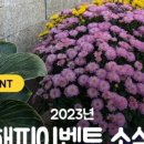 행복이 있는 정철학 이미지