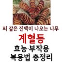 현대방사선기계 | 나무를 자르면 피같은 진액이 나오는 계혈등 한약재! 효능·부작용·복용법