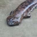 여로민박 이미지