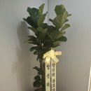 청담청아의원 이미지