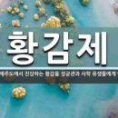 황감 이미지