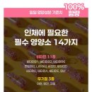 멀틴 | 에필리프 멀티비타민 더블캡슐 플러스 후기