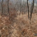 삼원축산 이미지
