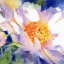 컬러풀 수채화 이미지