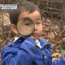 숲속어린이집 이미지