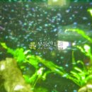 드림헬스클럽 이미지