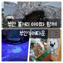 한라산 동충하초 1관 2관 | 부안 볼거리 아이와 함께 부안누에타운