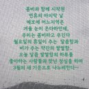 달콤쌀쌀 네이버블로그