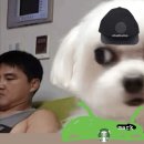 야마도라 | 스타벅스 바리스타 7개월 후기🫶 월급/복지/장단점/업무강도