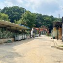 경기도 키즈 캠핑장 추천 용인 구봉산 나인힐스 2박3일 JJ1 타프존