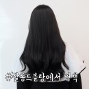 살롱드블랑 이미지
