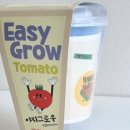 홈그로우