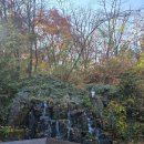 한양카서비스 | 11월19일 남산둘레길 단풍, 백범광장부터 계단없는 완만한 경사길로 1만보 걸어서 남산 N타워 올라가...