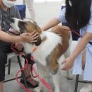 대동동물병원 이미지