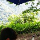 부산잔치국수 이미지