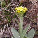 김종성한의원 이미지