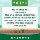 피카소어린이집 이미지