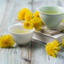 민들레산업 이미지